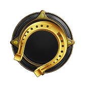 Lucky horseshoe